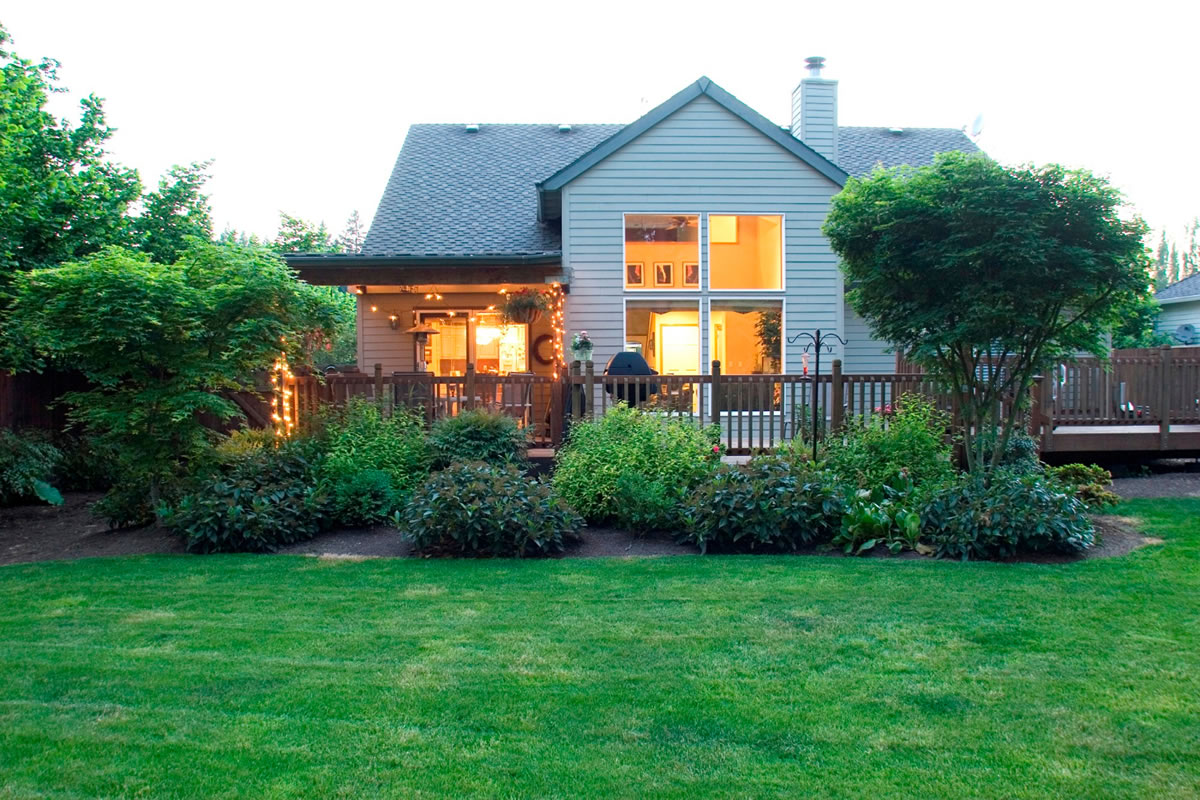 Four Reasons to Get Rid of Overgrown Shrubs and Trees in Your Yard