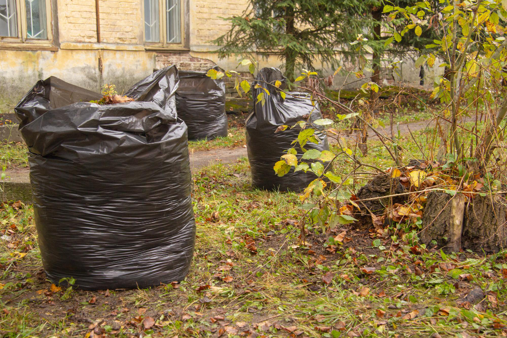 Efficiently Dispose of Yard Waste with Roll Off Dumpster Rentals