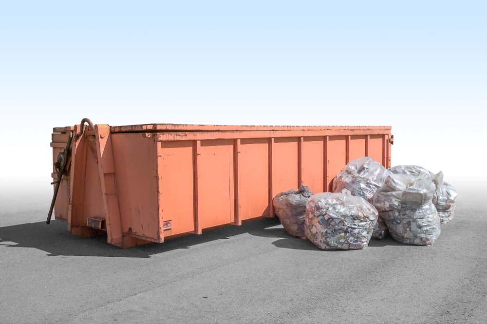 Keeping Your Roll Off Container Rental Clean & Clear of Pests