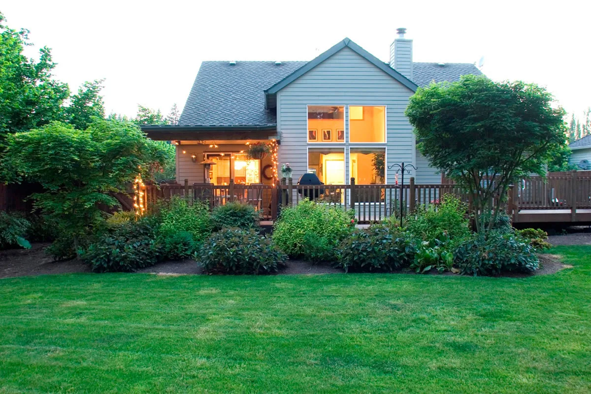 Four Reasons to Get Rid of Overgrown Shrubs and Trees in Your Yard