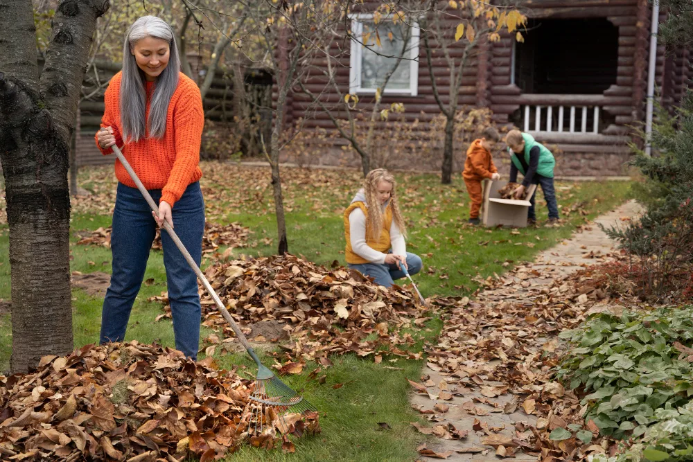 Top Tips for Efficient Backyard Waste Disposal